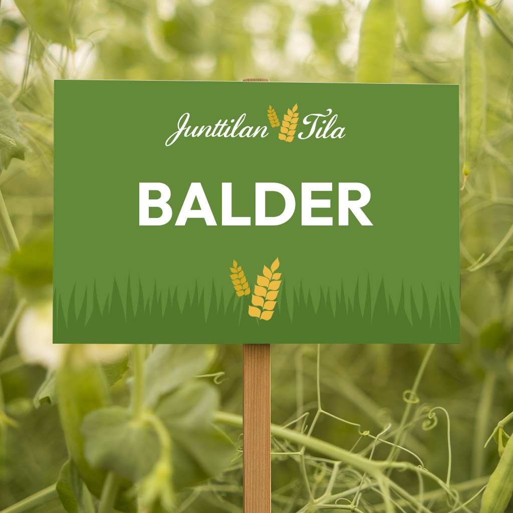 Balder herne