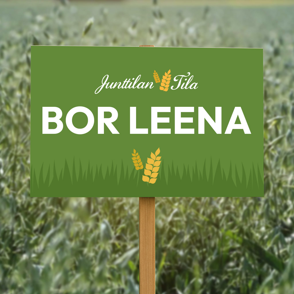 BOR Leena kaura Junttilan Tila