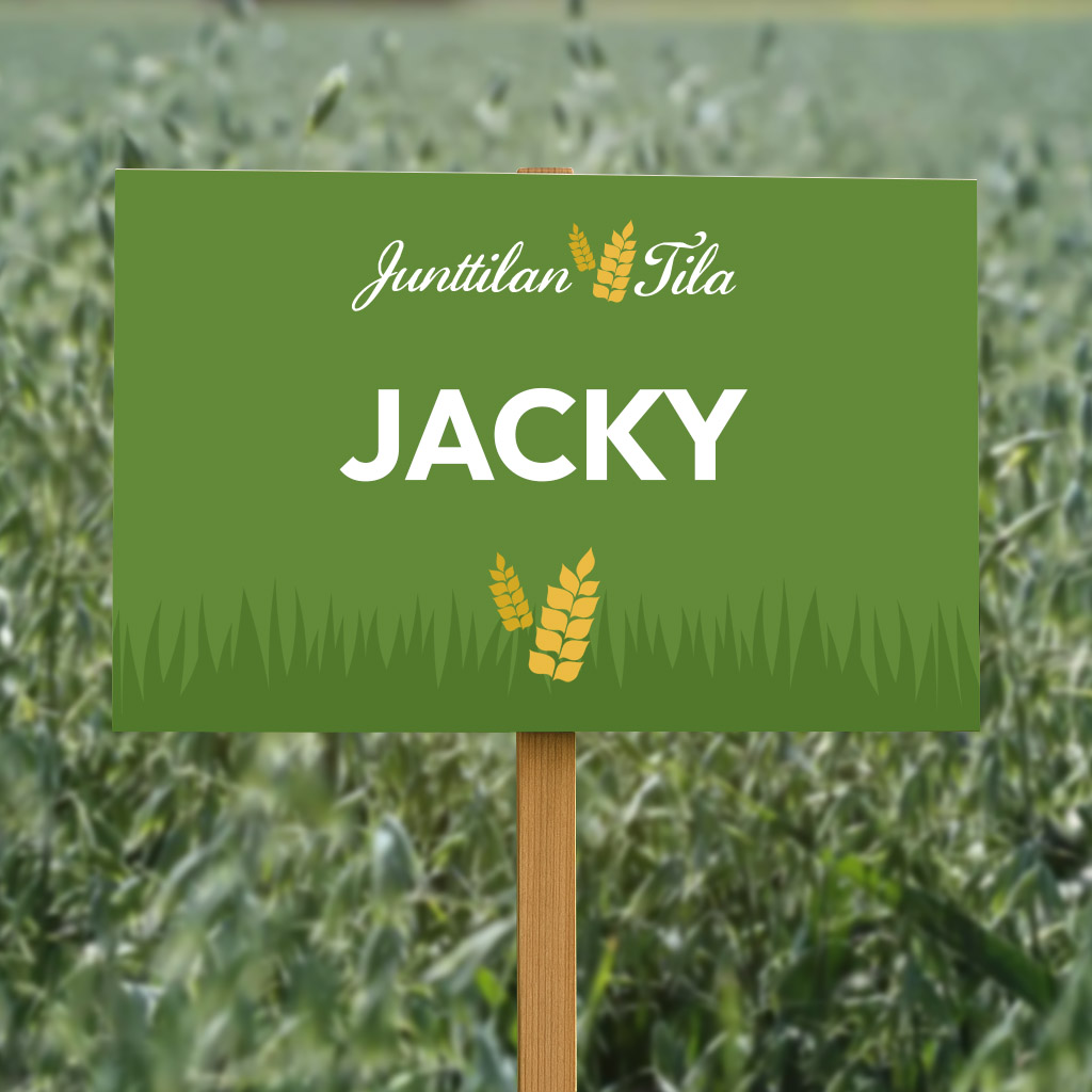 Jacky kaura Junttilan Tila