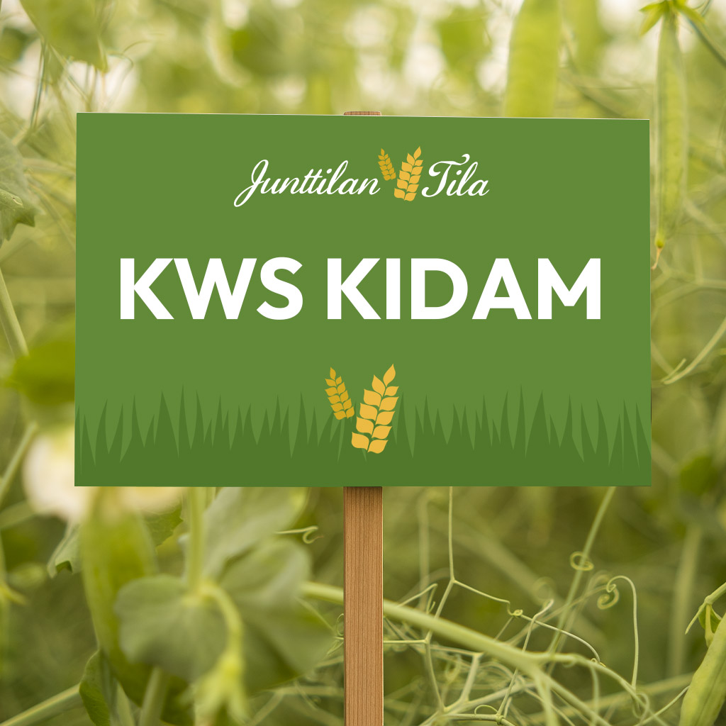 KWS Kidam herne