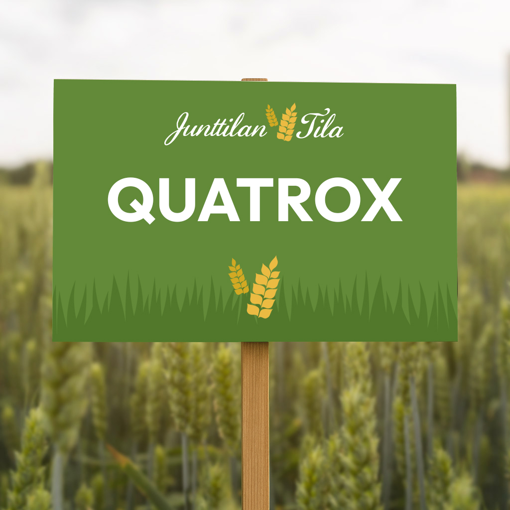 Quatrox vehnä
